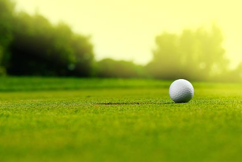 Pitch & Putt