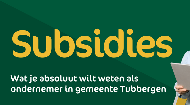 Subsidieloket voor ondernemers: ontdek de financieringsmogelijkheden in Tubbergen