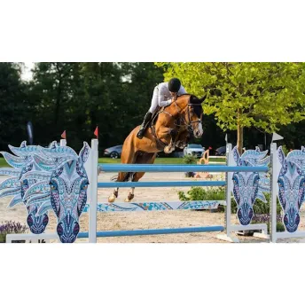 Jumping Schröder Twente 4 t/m 8 juni 