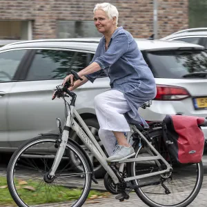 Ingrid van der Meulen