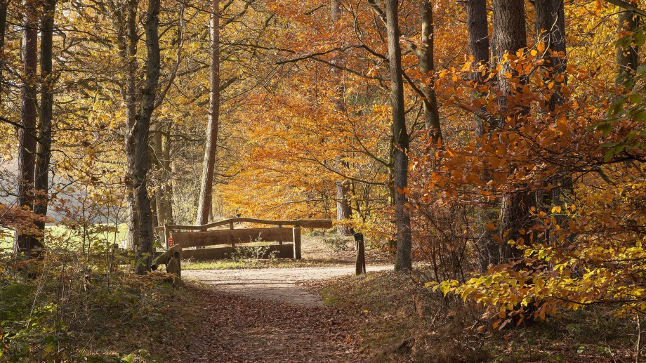 Herfsttintentocht ouderen Langeveen