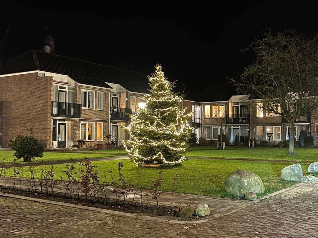 Kerstboom Eeshof