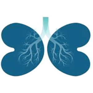 Netwerk Longfysiotherapie Friesland logo