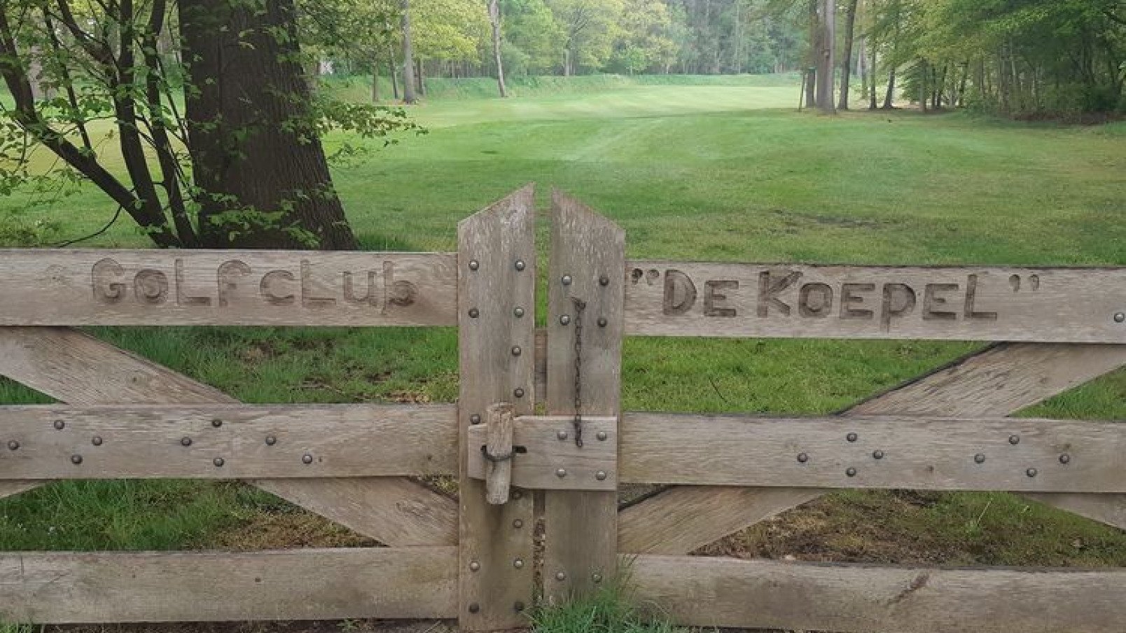 Golfclinic en BBQ bij De Koepel - GEWIJZIGDE starttijd